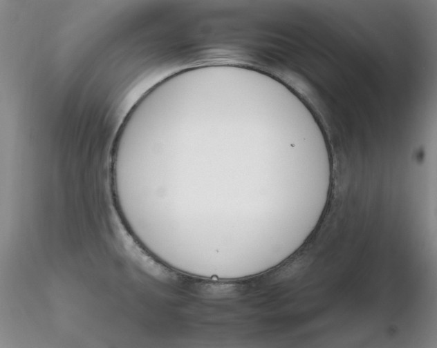 X0000116271431200912211748