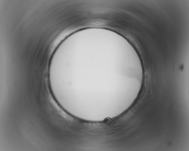 X0000116271432200912211748