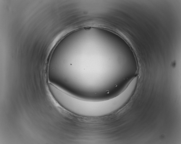 X0000116271434200912211748