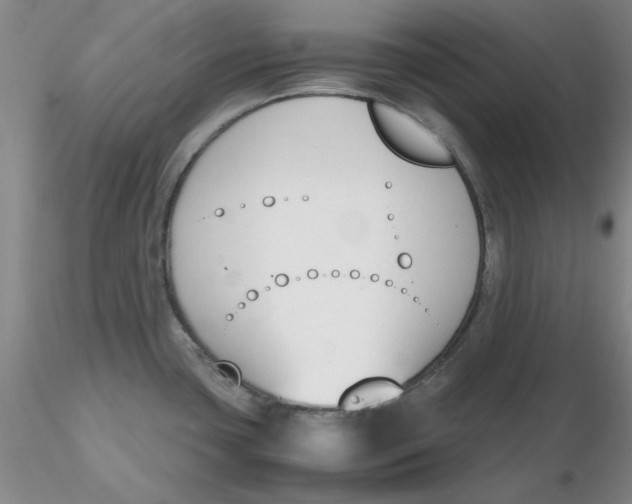 X0000116271435200912211748