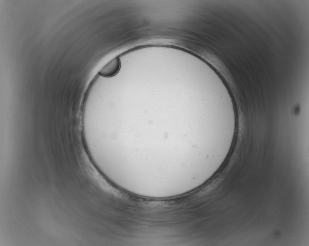 X0000116271436200912211748