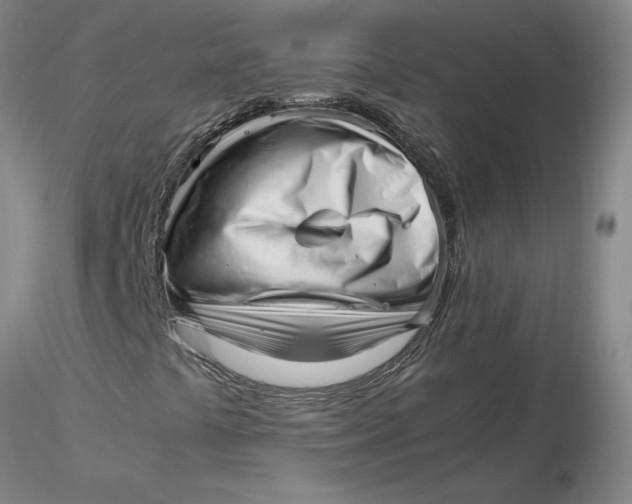 X0000116271441200912211748