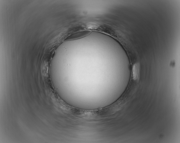 X0000116271443200912211748