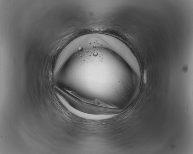 X0000116271444200912211748
