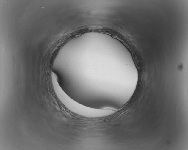 X0000116271445200912211748