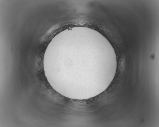 X0000116271446200912211748