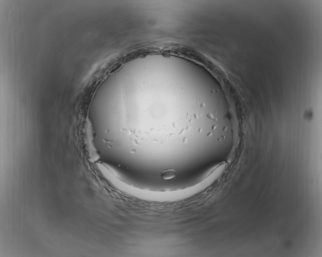 X0000116271447200912211748