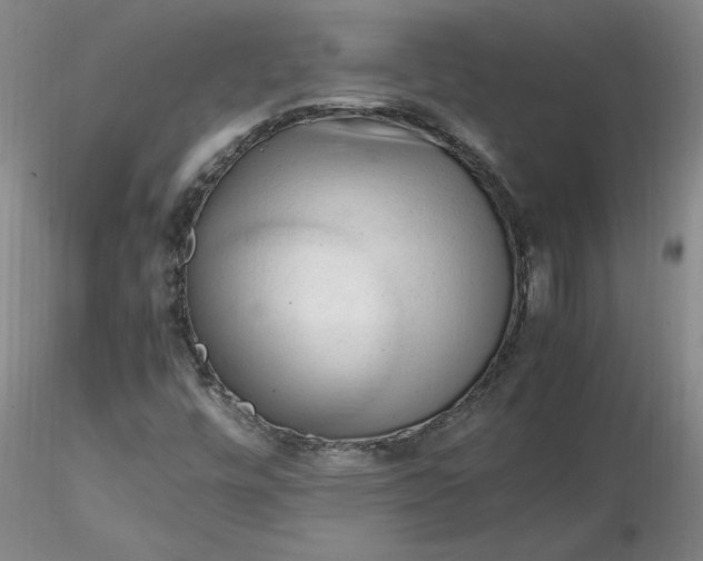 X0000116271448200912211748