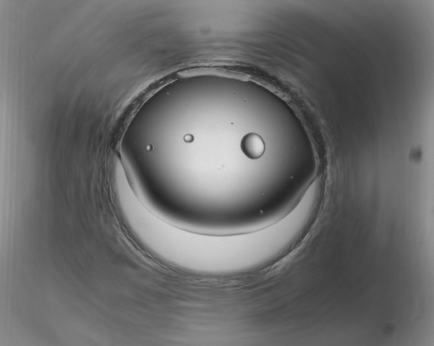 X0000116271449200912211748