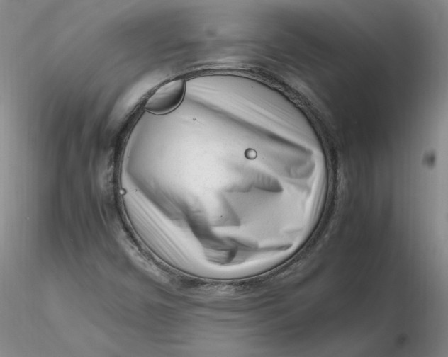 X0000116271450200912211748