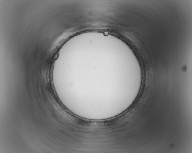 X0000116271451200912211748