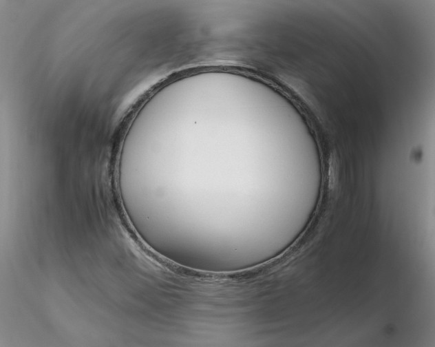X0000116271452200912211748