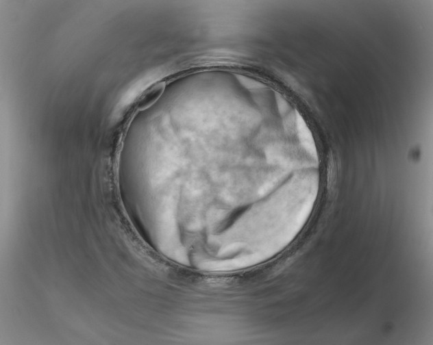 X0000116271453200912211748