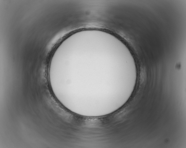 X0000116271454200912211748