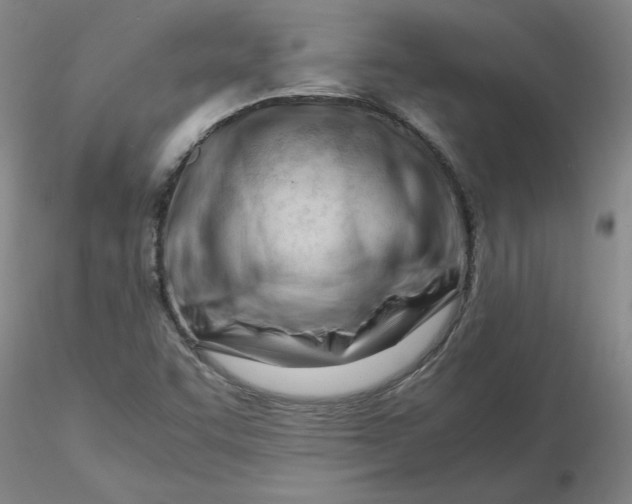 X0000116271455200912211748