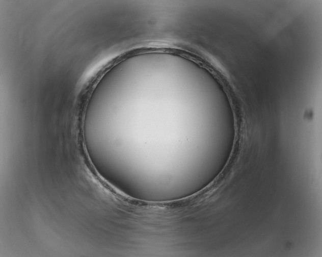 X0000116271456200912211747