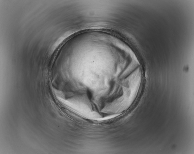 X0000116271457200912211747