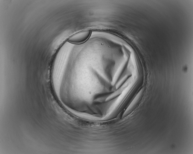 X0000116271459200912211747