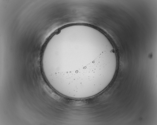 X0000116271460200912211747