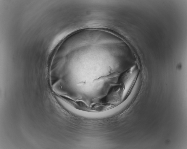 X0000116271461200912211747