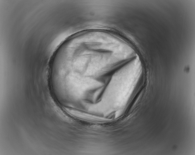 X0000116271463200912211747