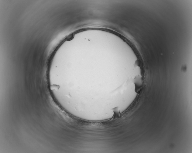 X0000116271464200912211747