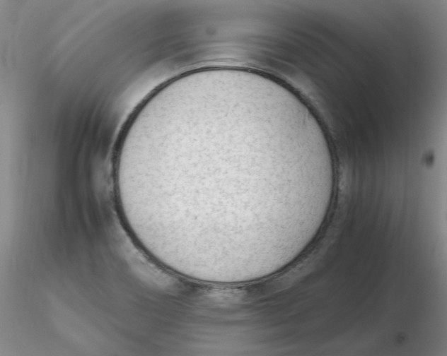 X0000116271466200912211747