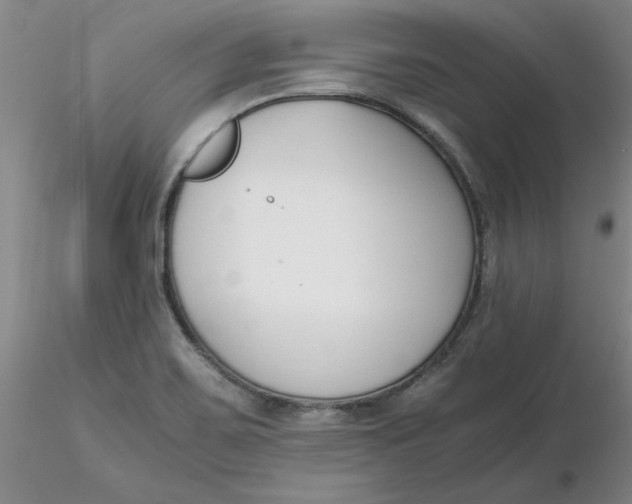 X0000116271467200912211747