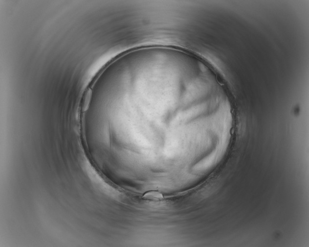 X0000116271468200912211747