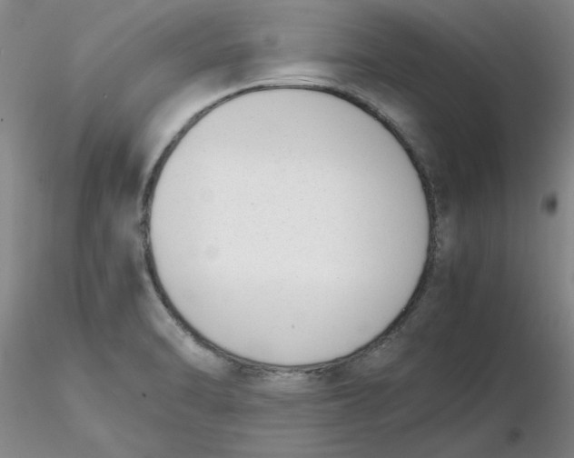 X0000116271470200912211747