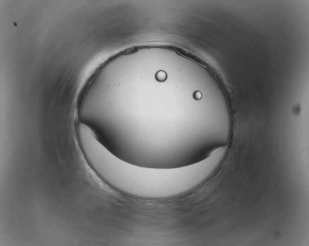 X0000116271472200912211747