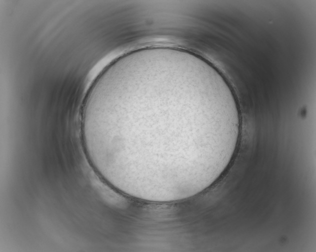 X0000116271474200912211747
