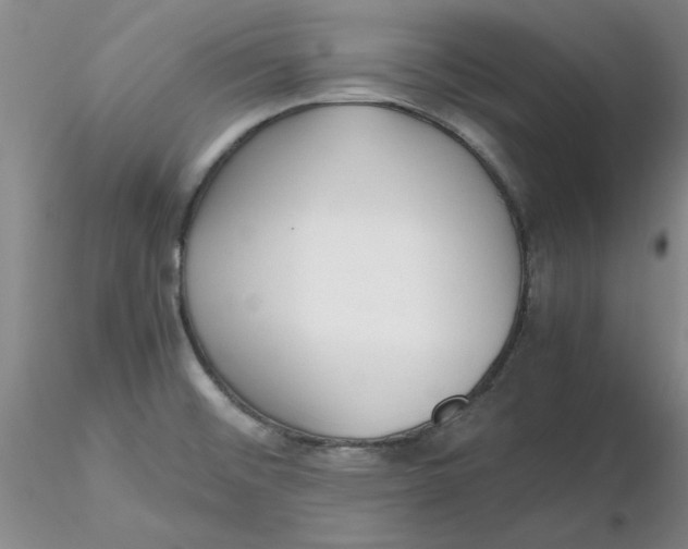 X0000116271476200912211747