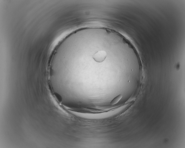 X0000116271477200912211747