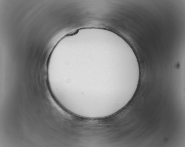 X0000116271479200912211747