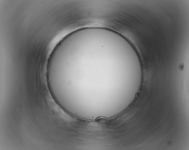X0000116271480200912211747