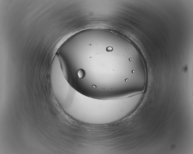 X0000116271481200912211747