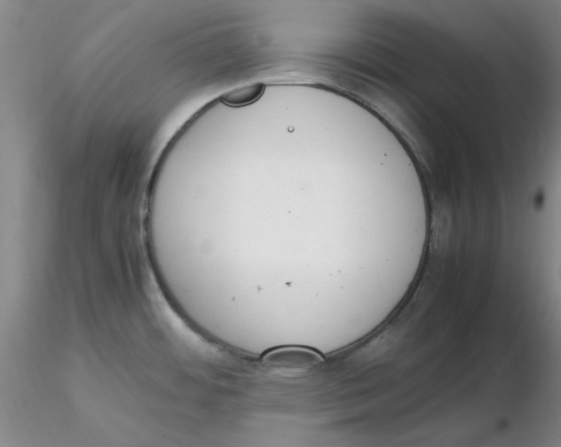 X0000116271484200912211747