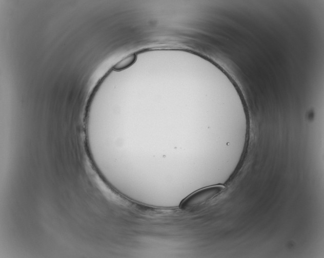 X0000116271485200912211747