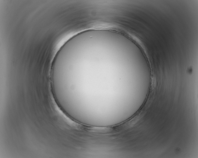 X0000116271487200912211747
