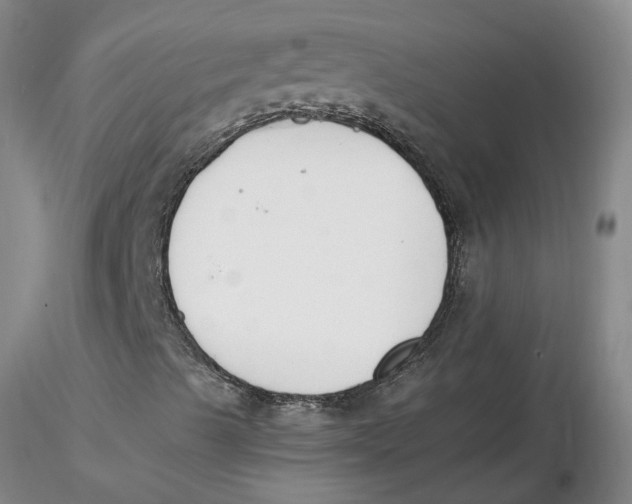 X0000116271489200912211746