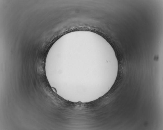 X0000116271490200912211746