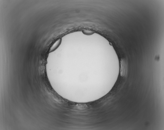 X0000116271491200912211746