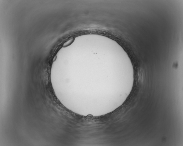 X0000116271493200912211746