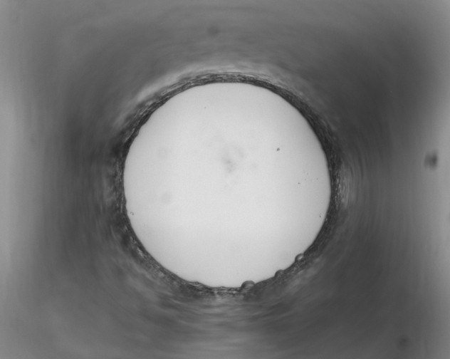 X0000116271494200912211746