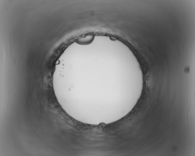 X0000116271495200912211746