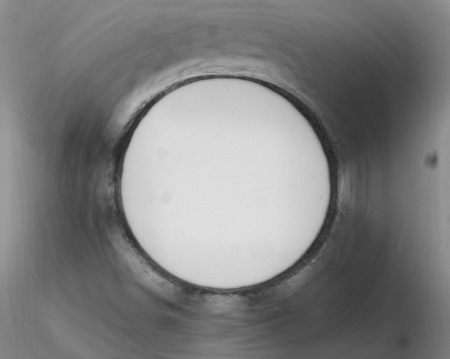 X0000116271498200912211747