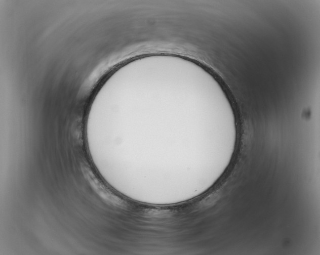 X0000116271499200912211747