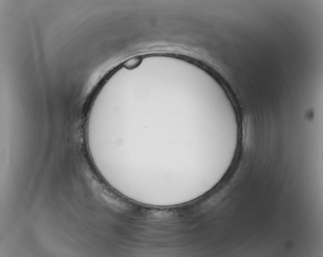 X0000116271501200912211747
