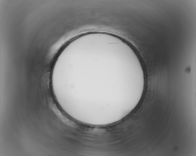 X0000116271503200912211747